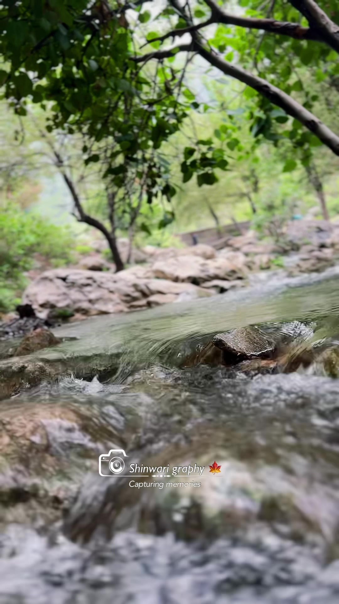 @Shinwari Graphy