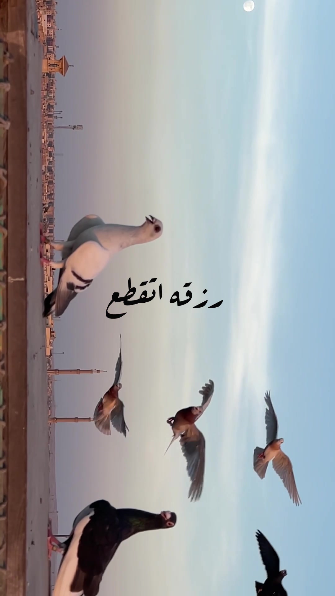 @﮼عمرو﮼عمر🕊️