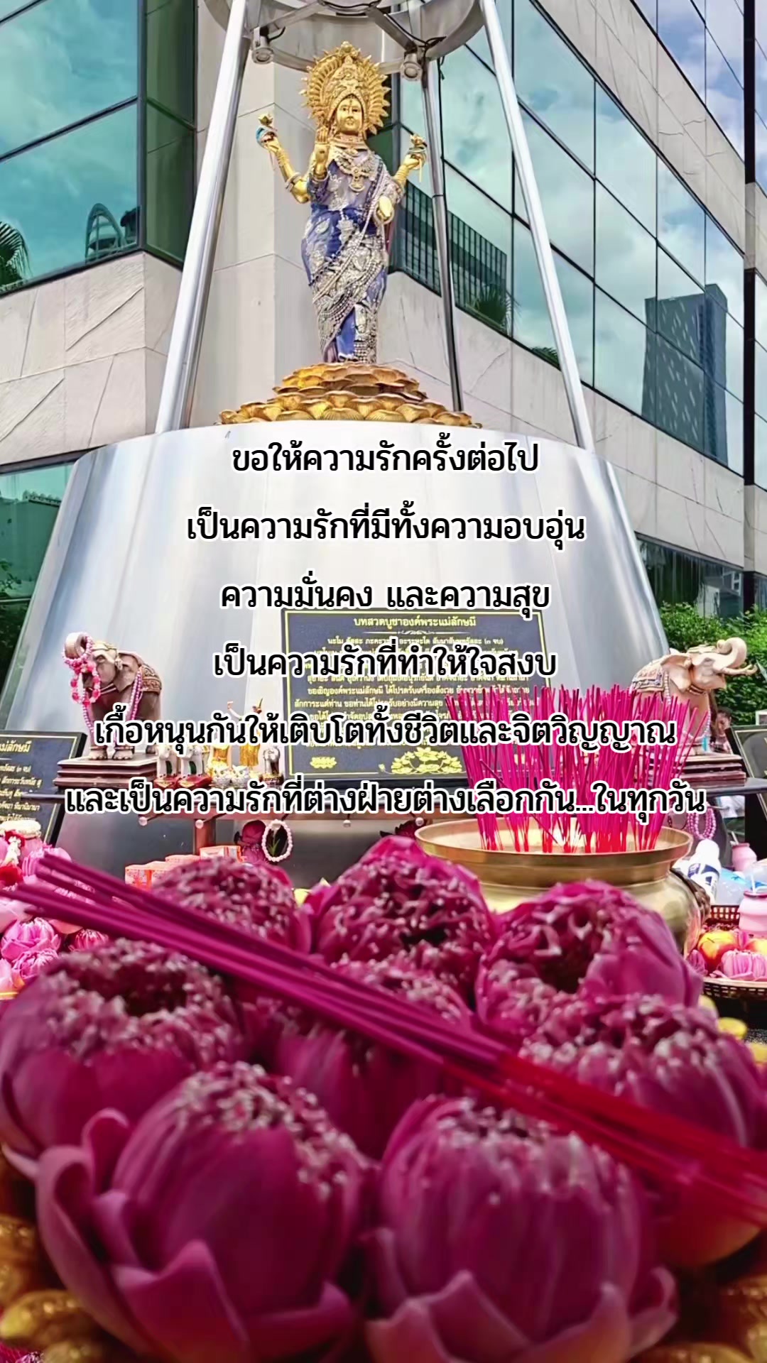 @aom.sutitsa