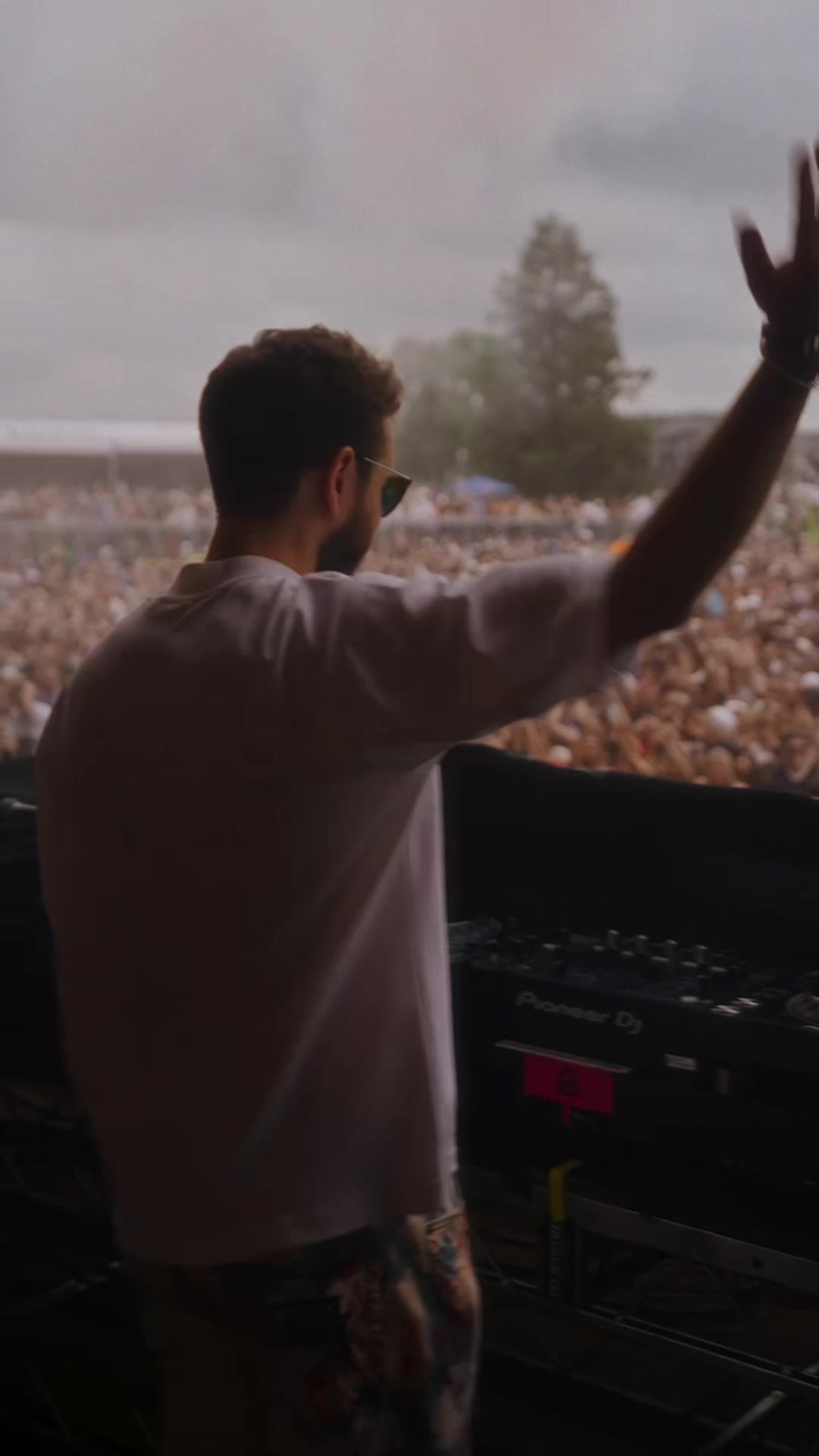 @Zedd