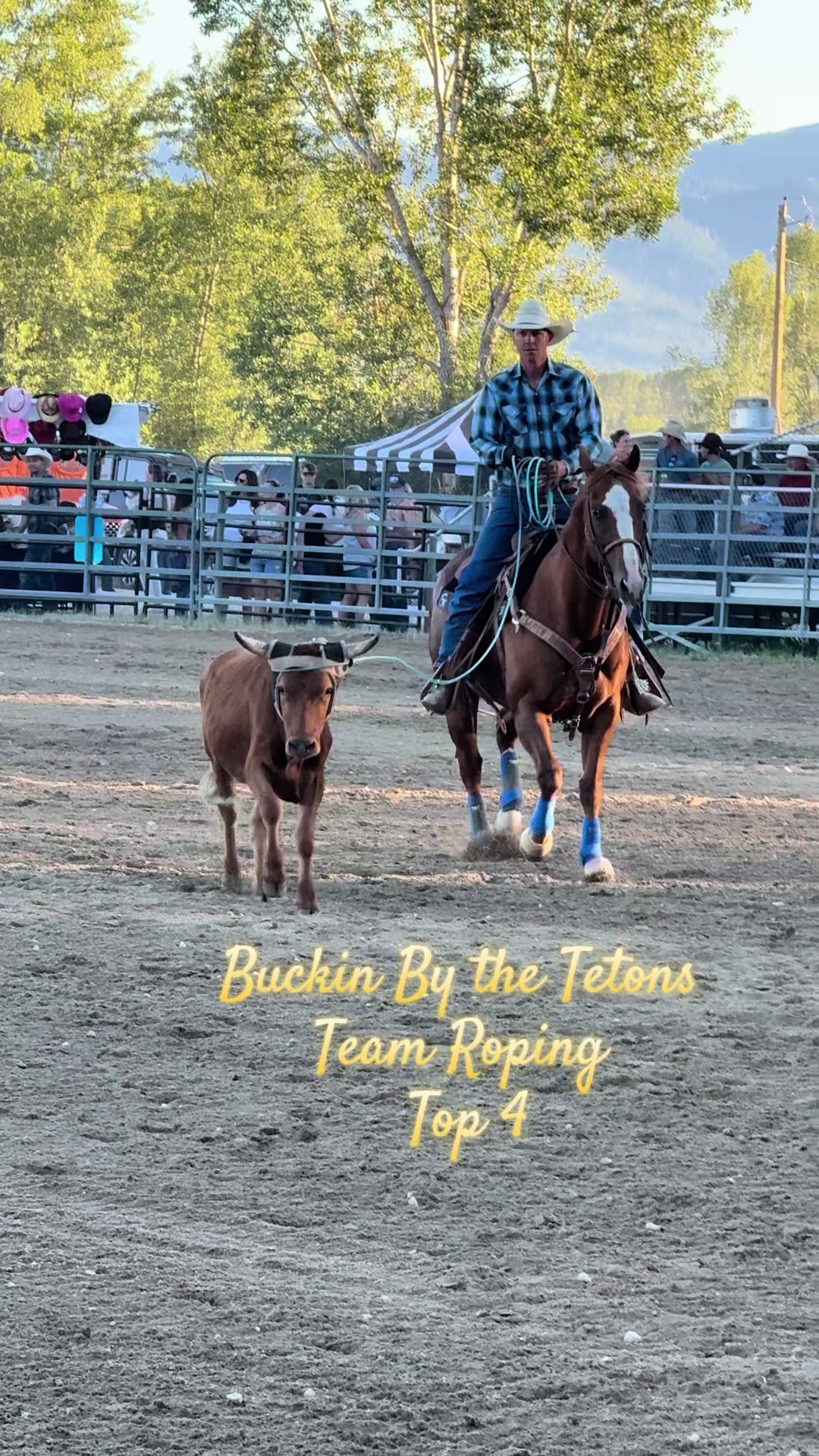 @knoxrodeo