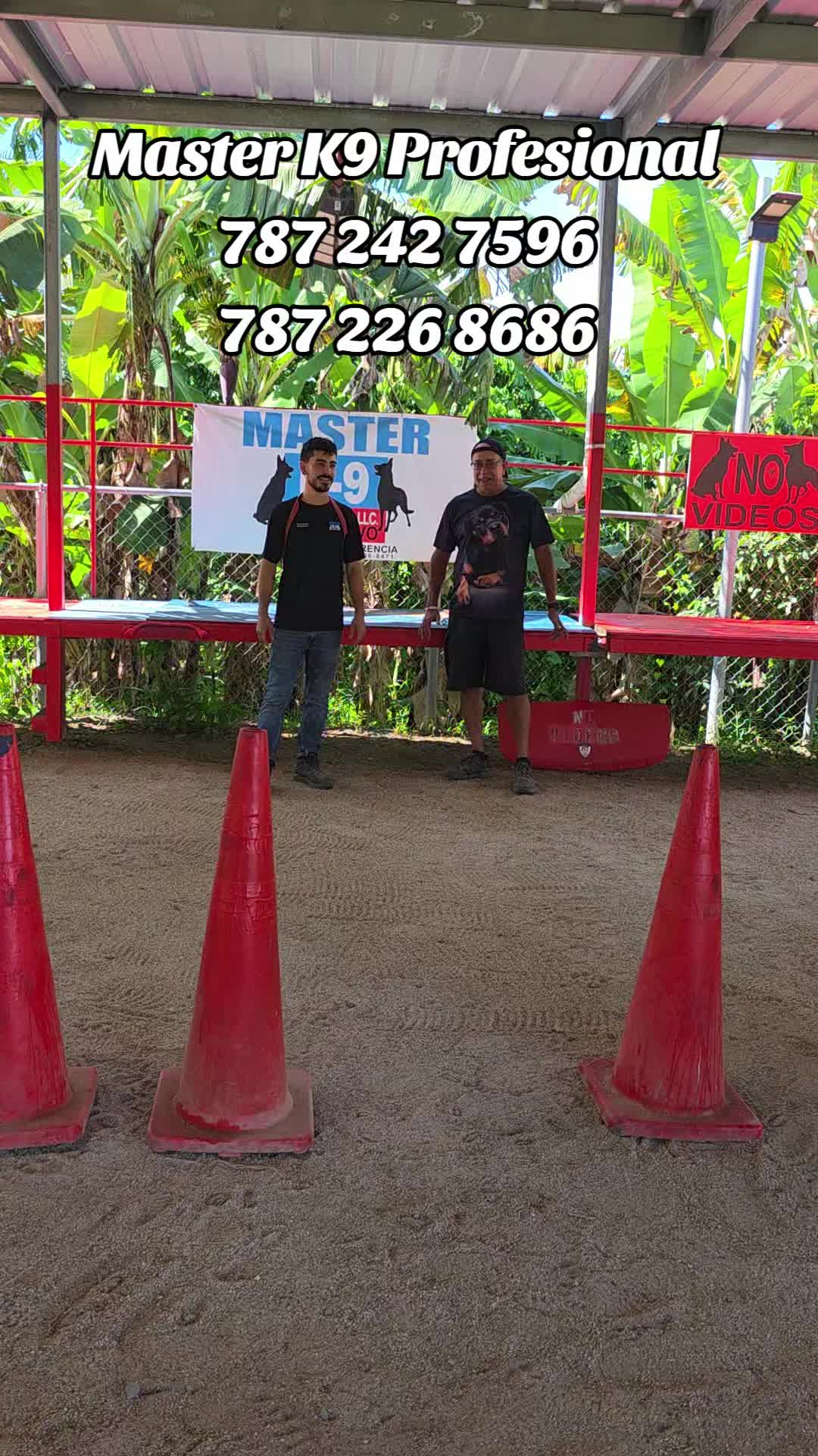 @masterk9profesional