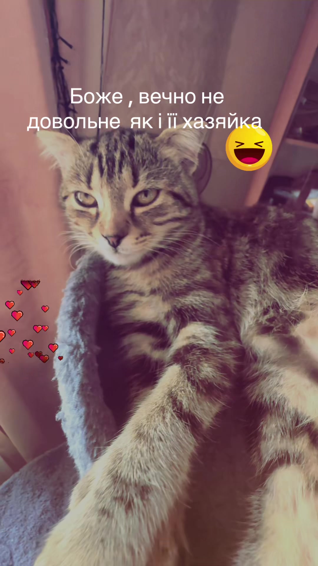 @🥀nastya_denis❤️