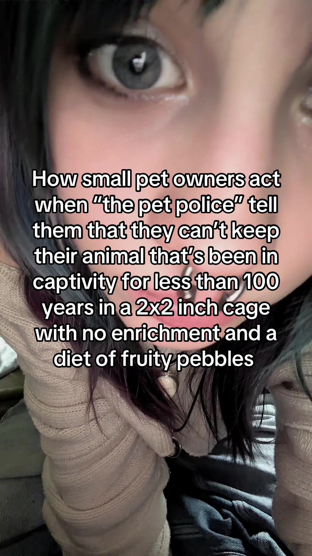 @Evieee