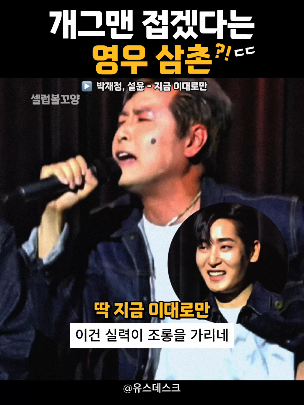 @셀럽볼꼬양
