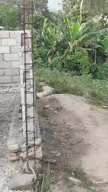 @faniciadefendre1