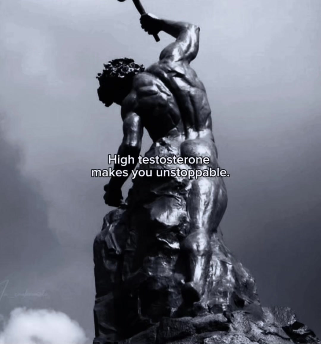 @Success Arc (Check Bio)