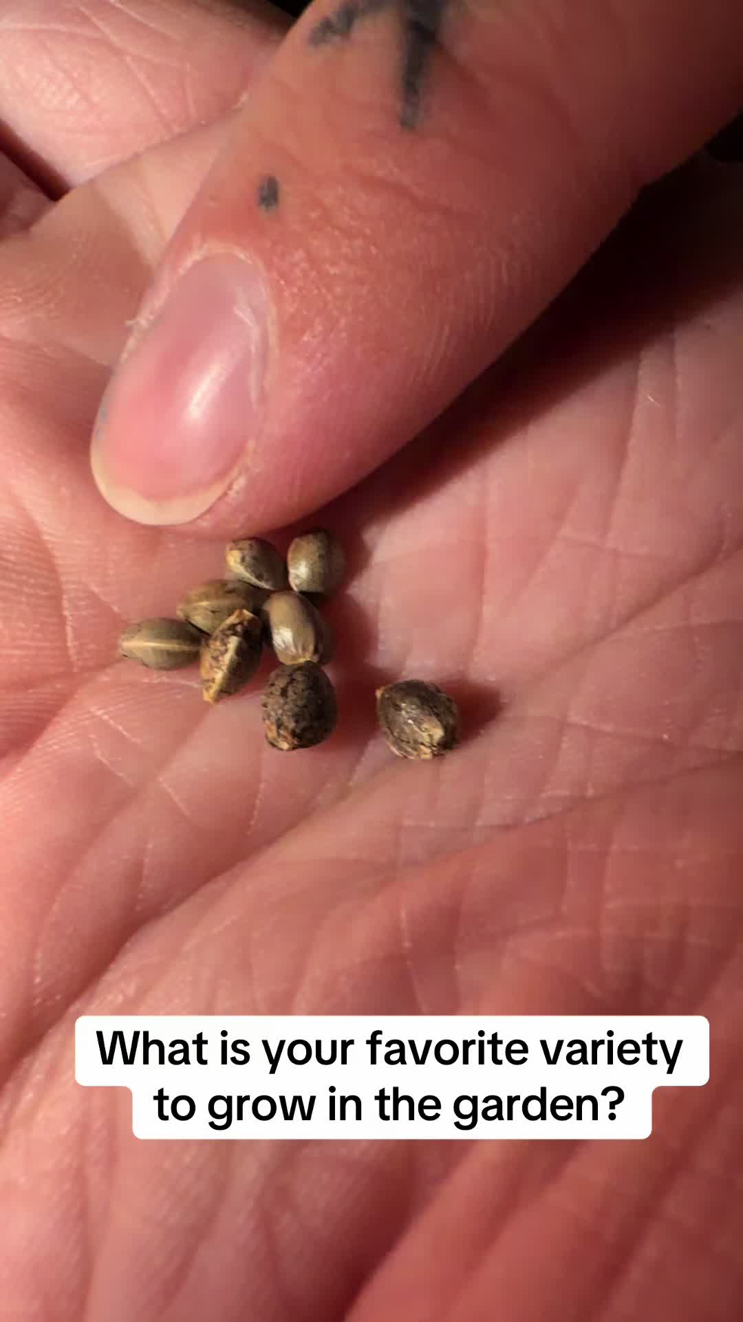 @SEEDTIVA