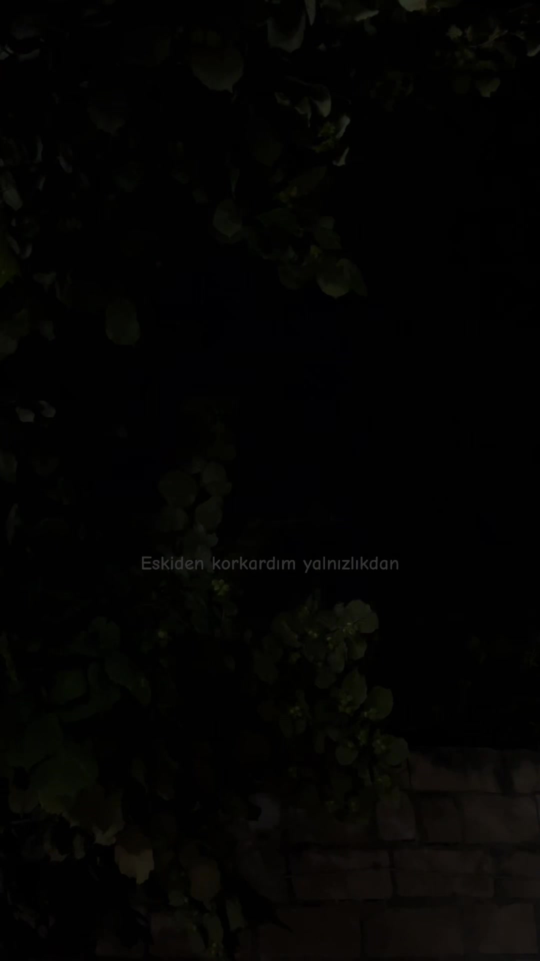 @aaievaz_