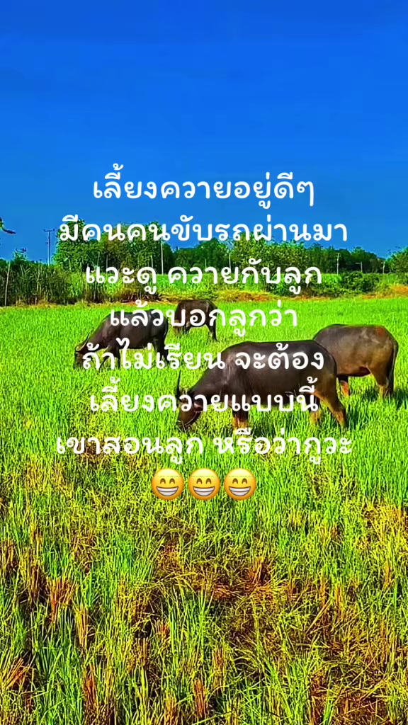 @🎀❤️ฅนเล็ก❤️🎀