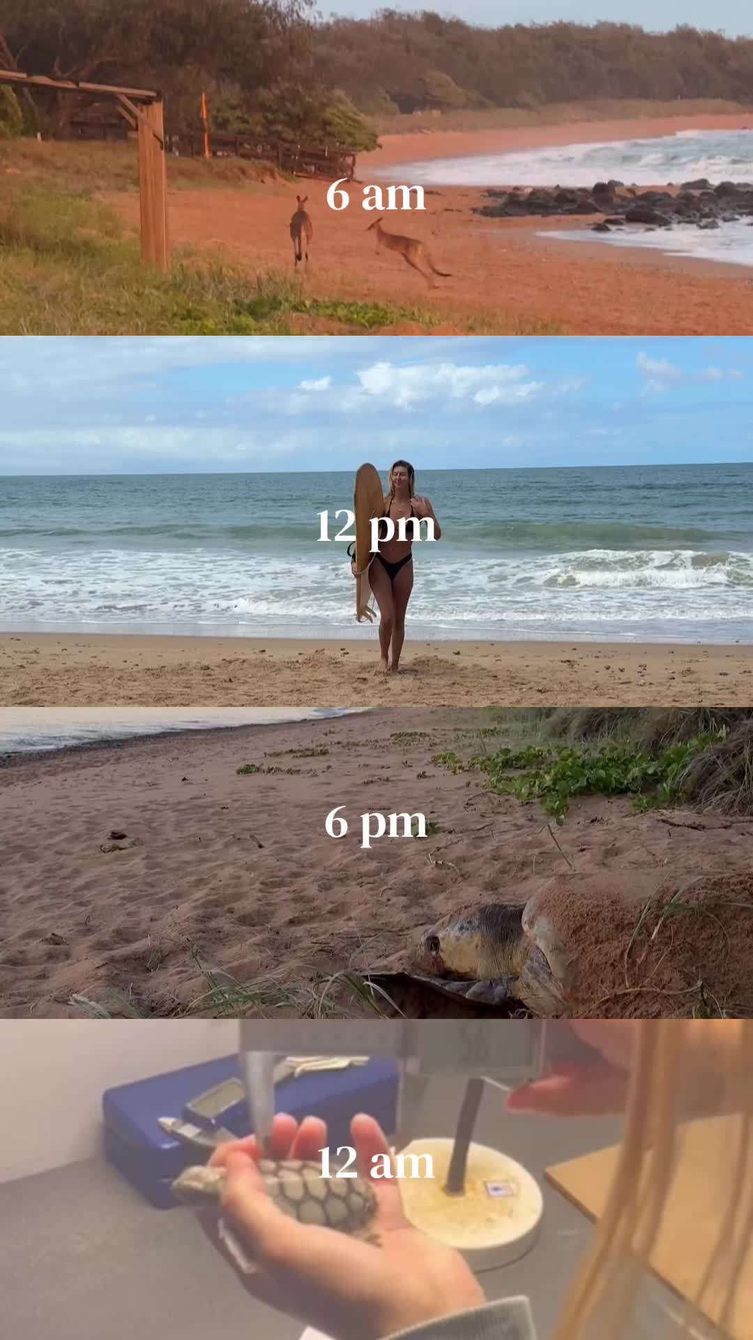 @maddy mermaid