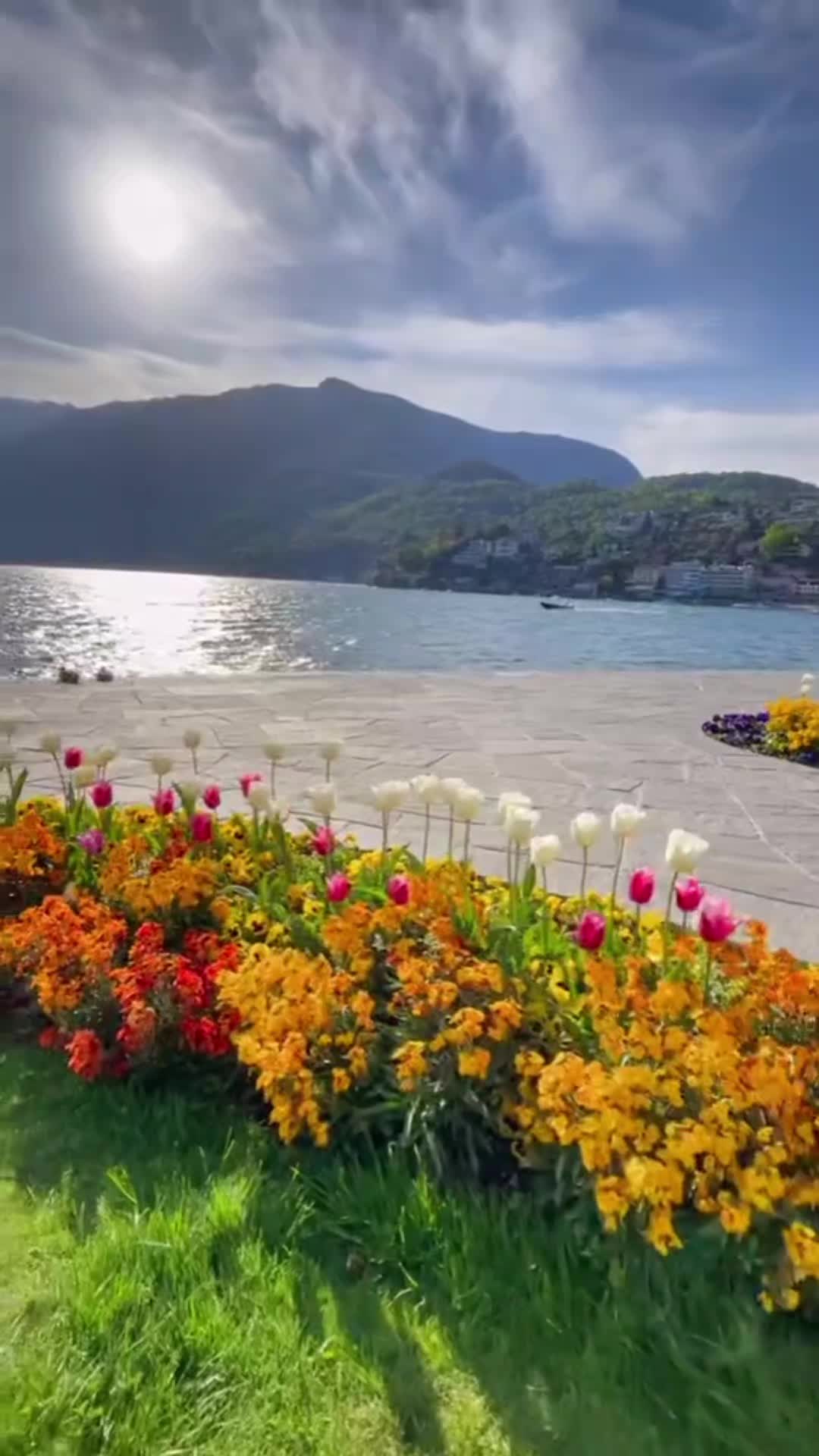 @ROTAMIZ MUTFAK