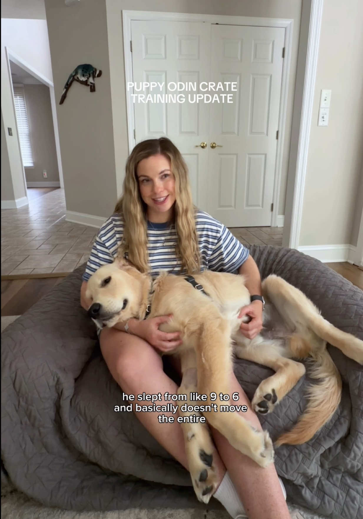 @agoldendogmom