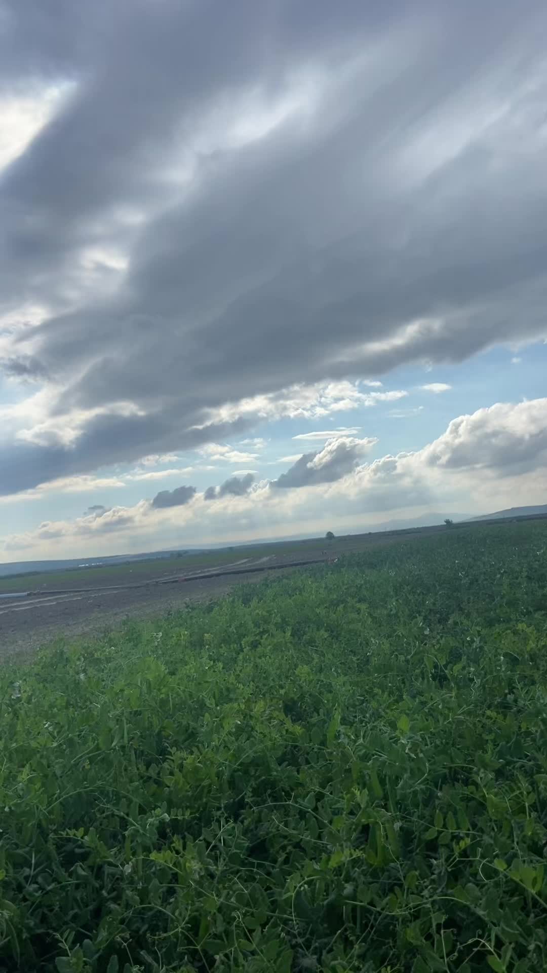 @Eşref_4721