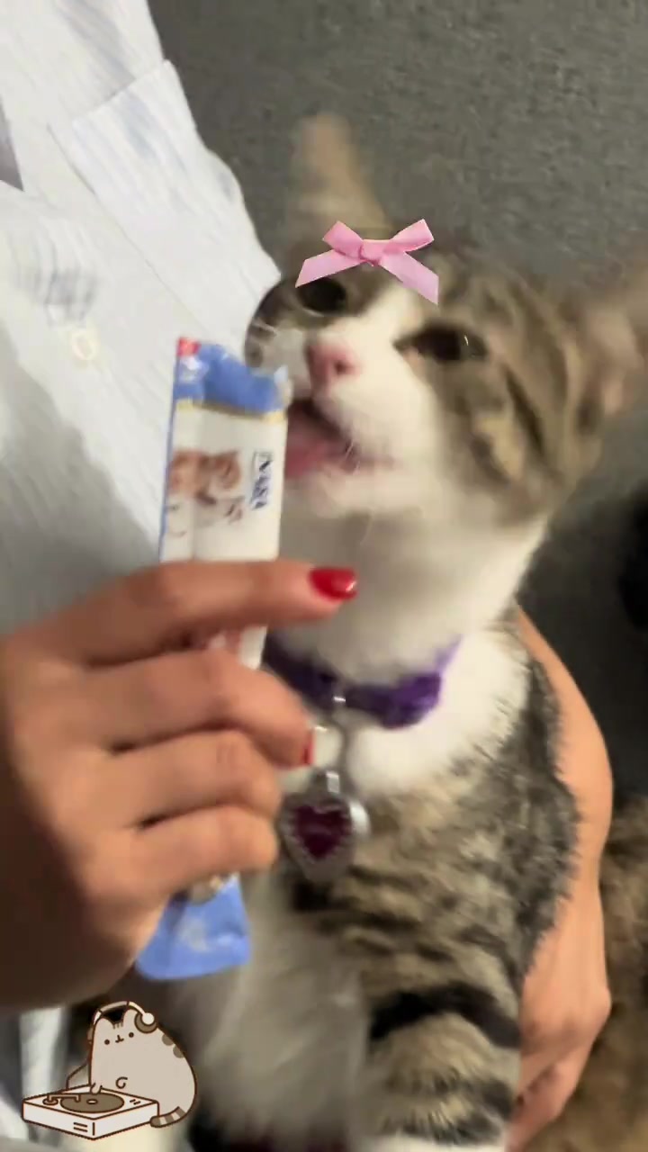 @Gary🐈&zwj;⬛&Luna🐈