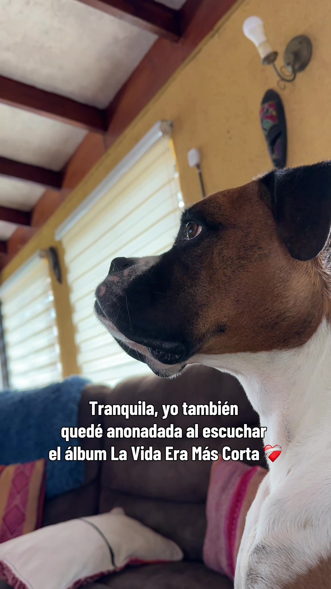 @Gabi Gálvez