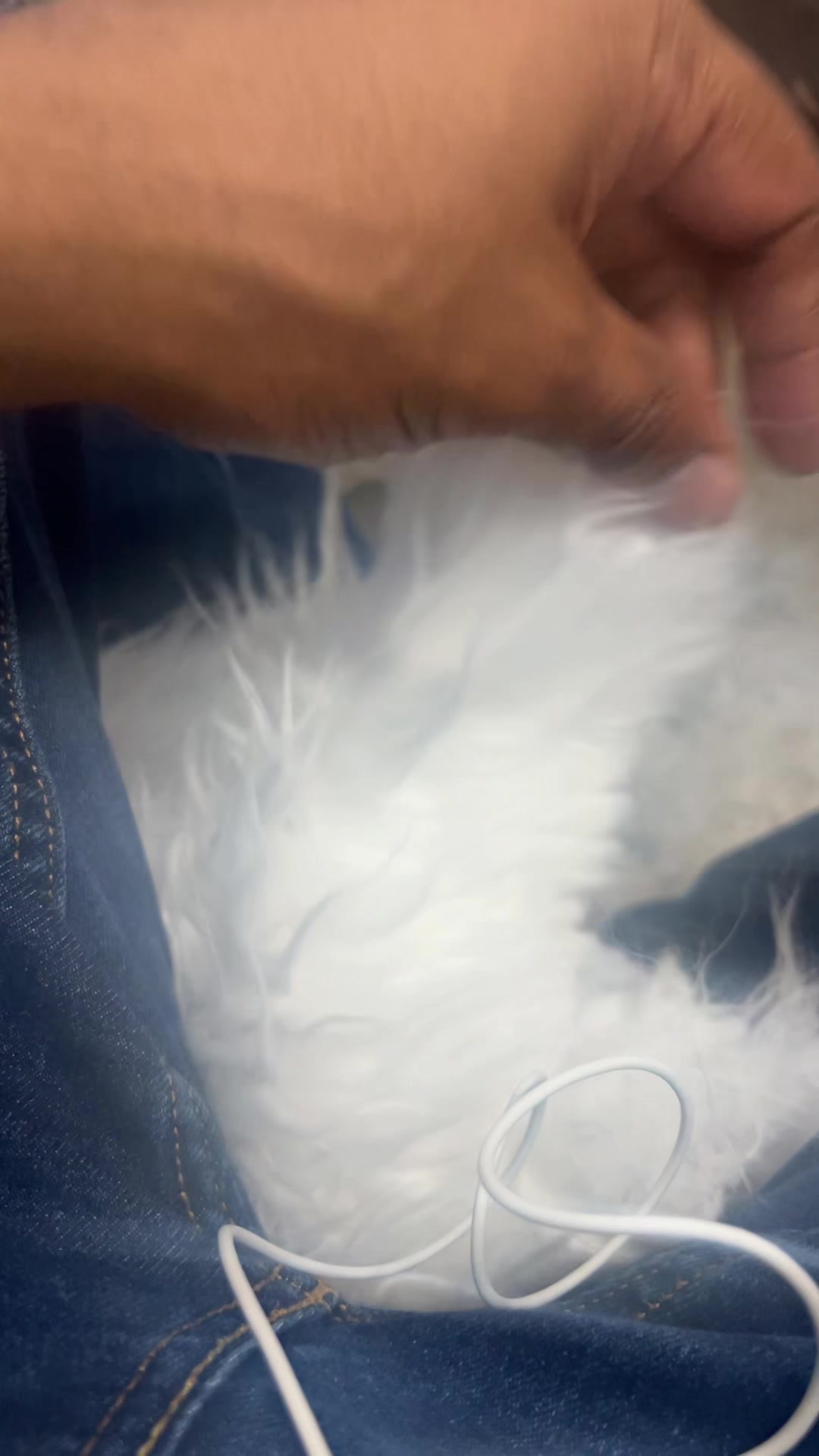 @Masterdrip