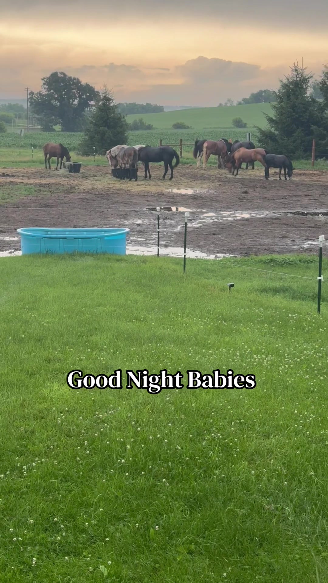 @Safe Place Pastures, Inc.