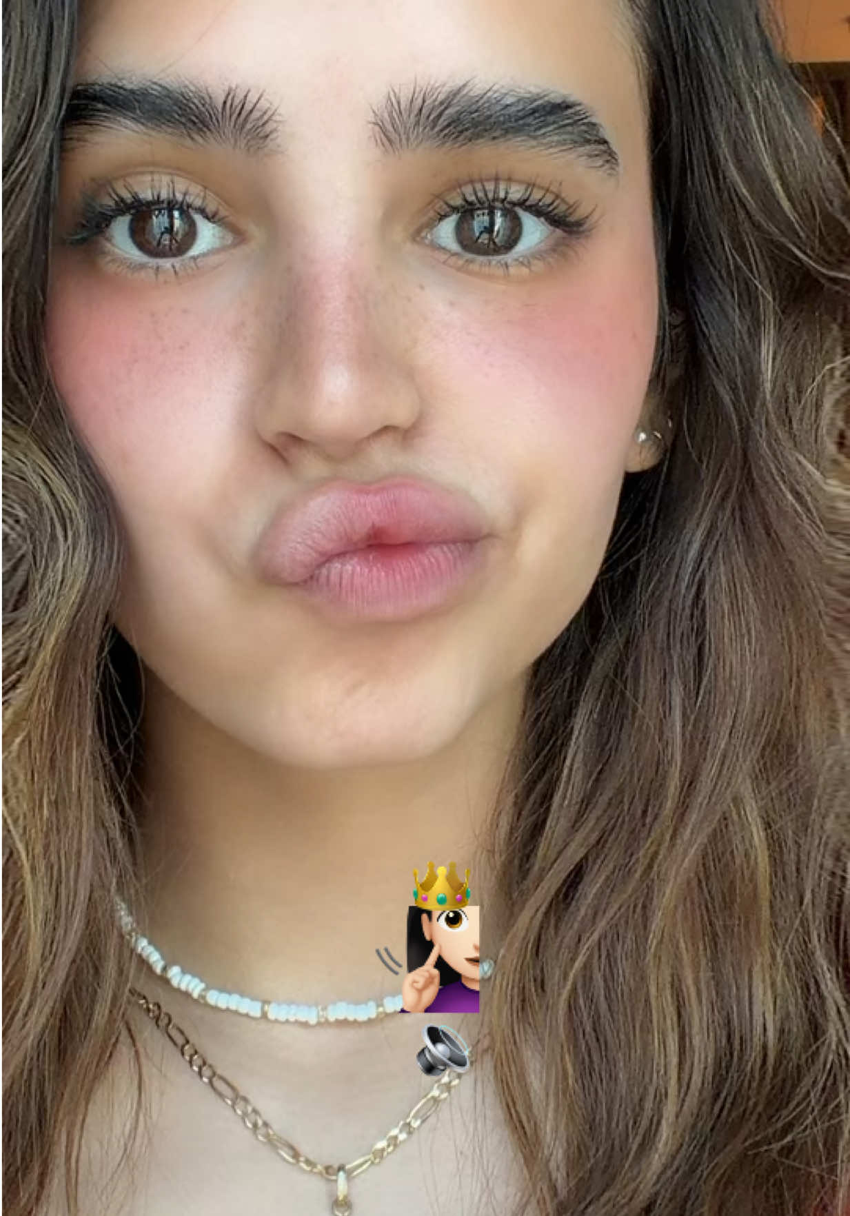 @domelipa