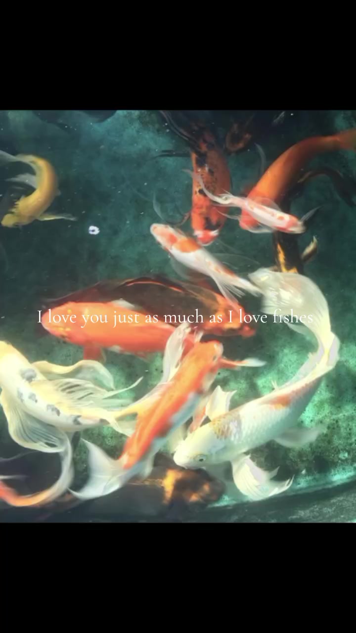@!Io ᶻ 𝗓 𐰁