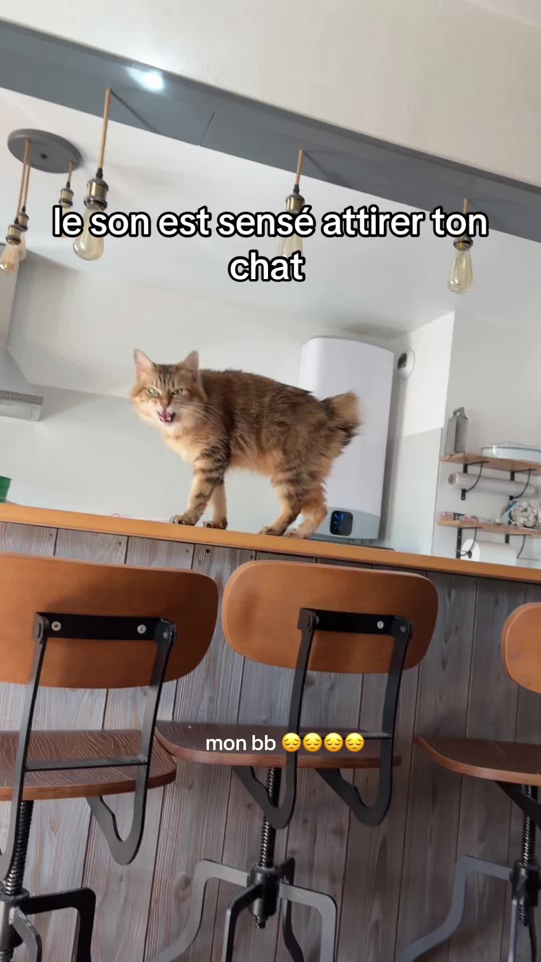 @Cailloux