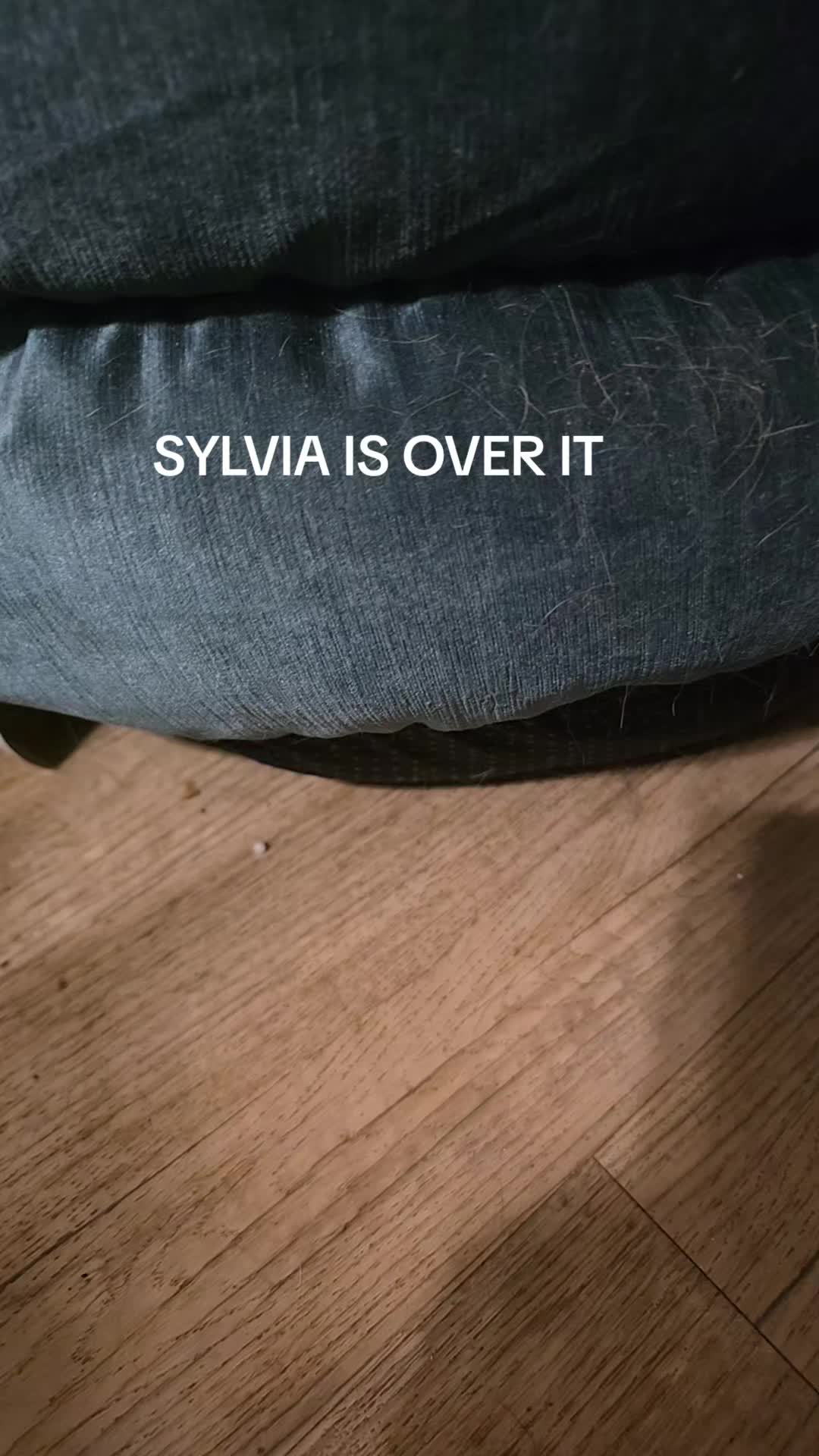 @TNCOUNTRYBOY31