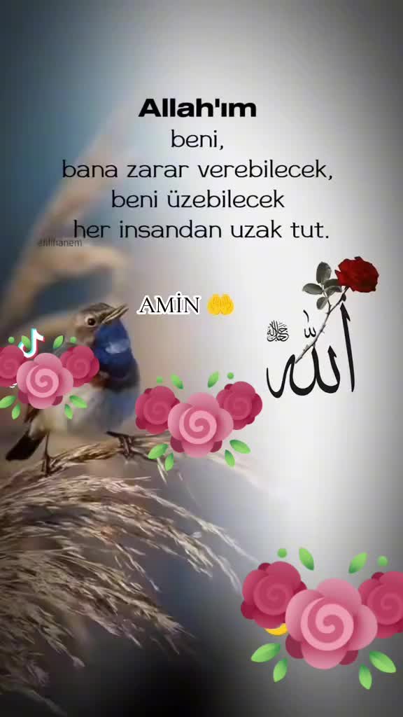 @Mustafa