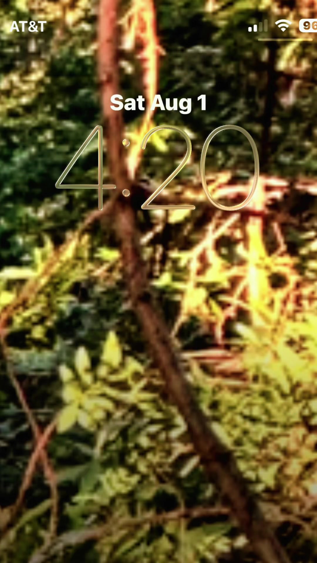 @🌲Forest Friend🌲🙏💗🫈