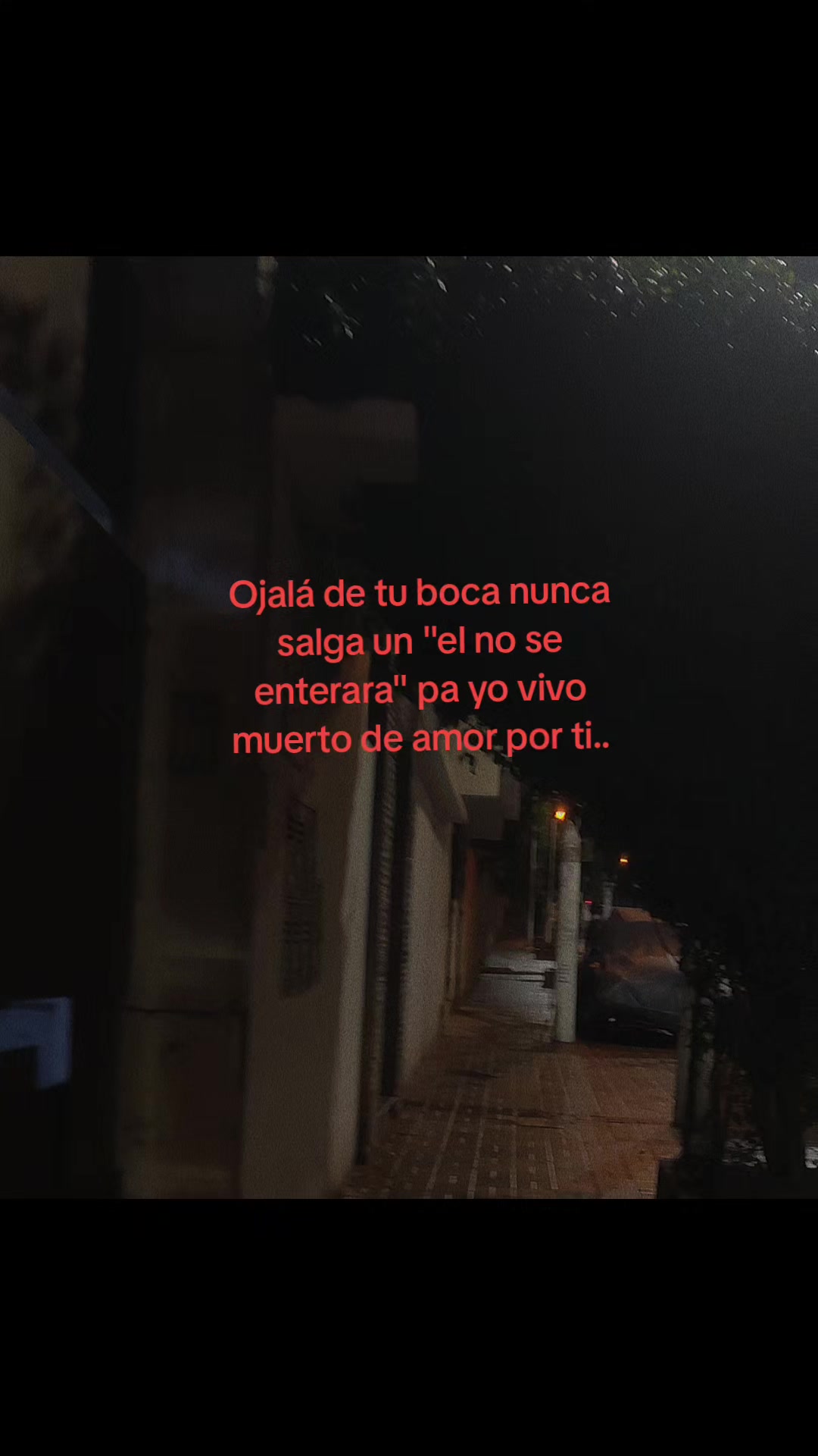 @ALE ⋆.˚꩜ .ᐟ˙⋆