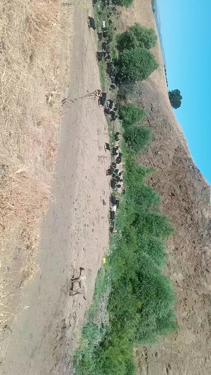 @ko&ccedil;er.12