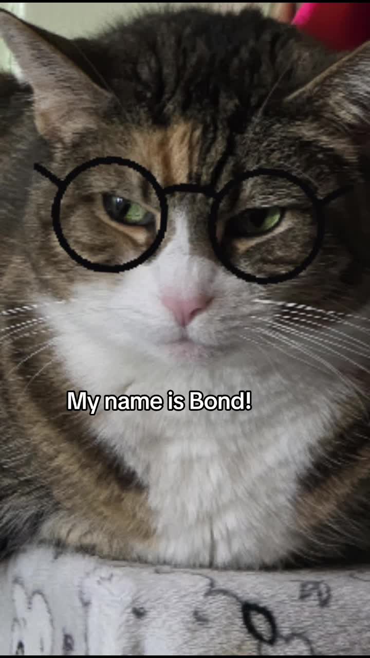 @SudzyDudz77♾️❤️🐱🌩💋