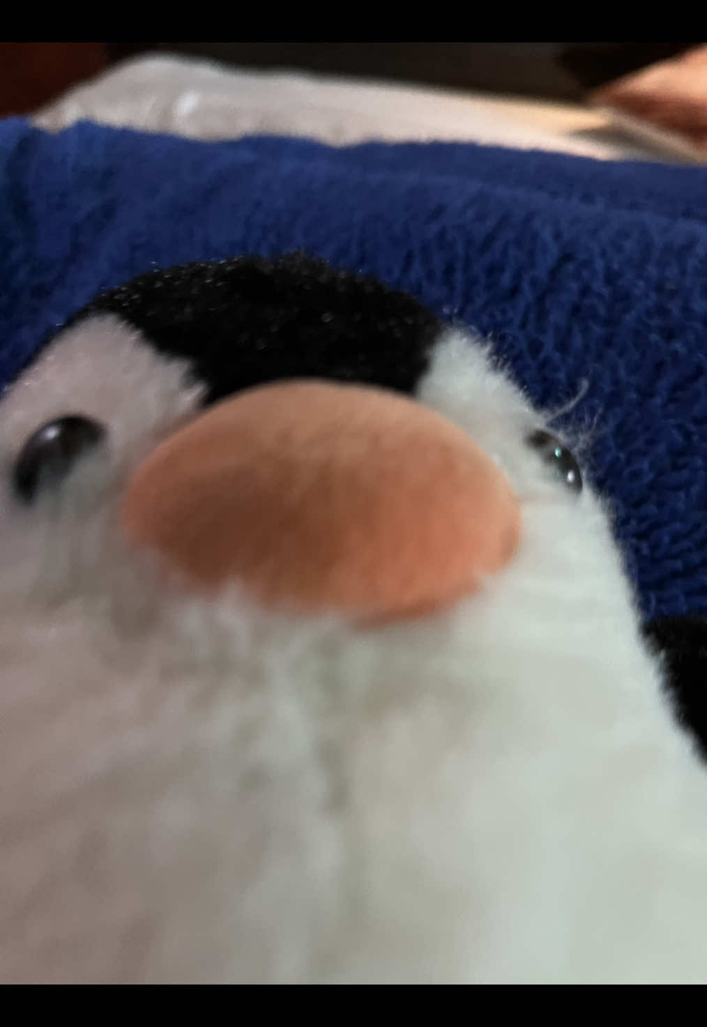 @๐ด๐๐๐๐ ๐ค