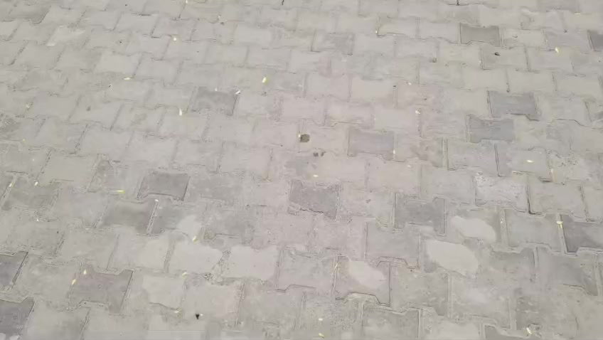@M.Muqaddas Asghar