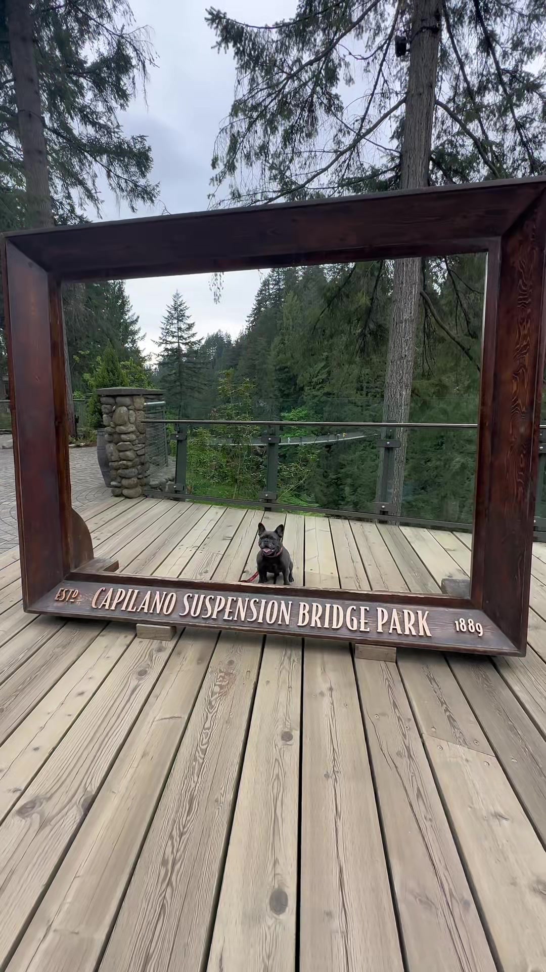 @Capilano Suspension Bridge