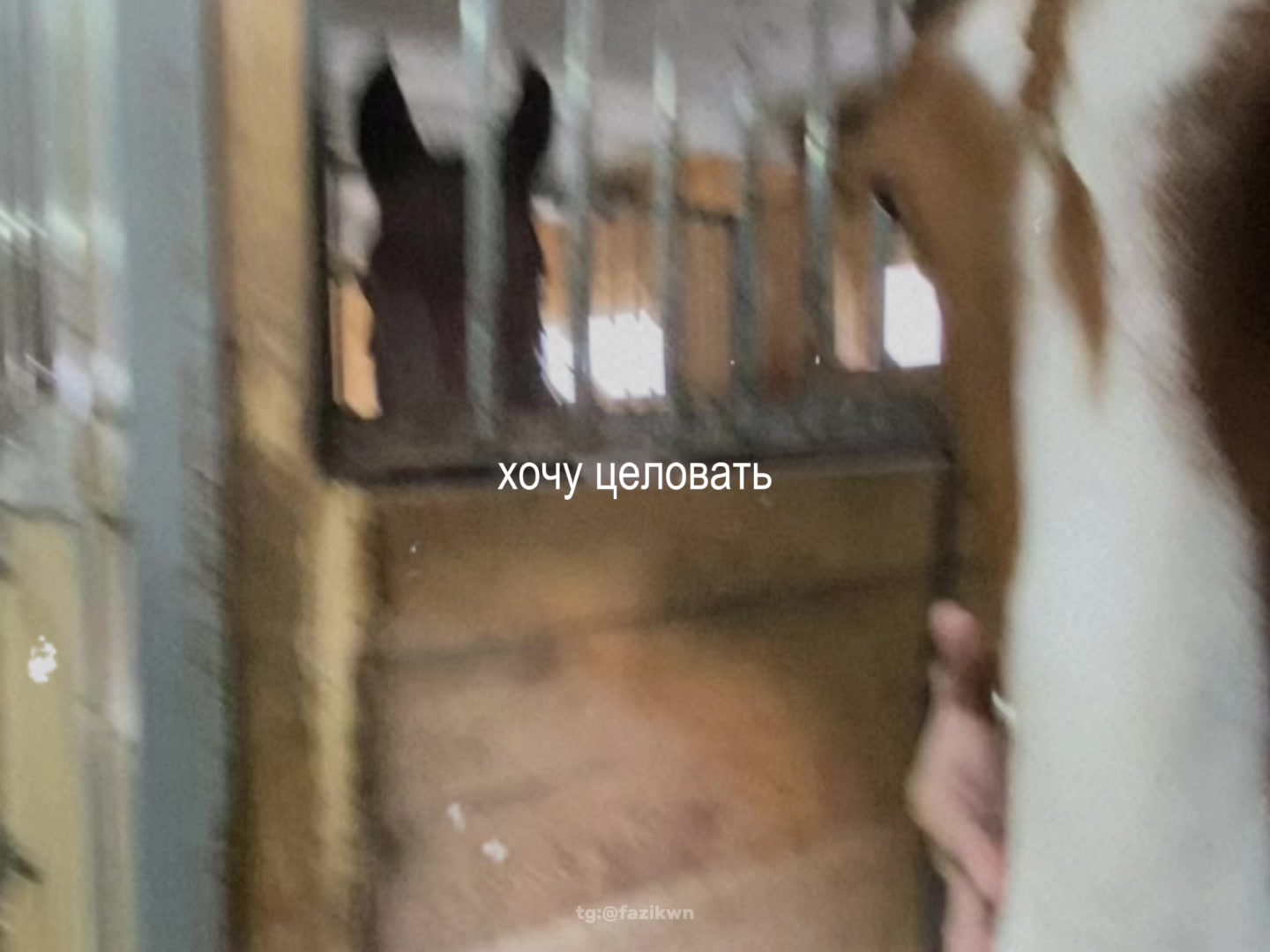 @sonyaa201001