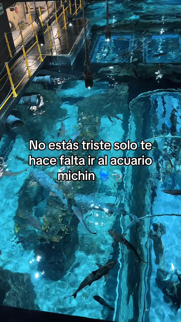 @Brenda
