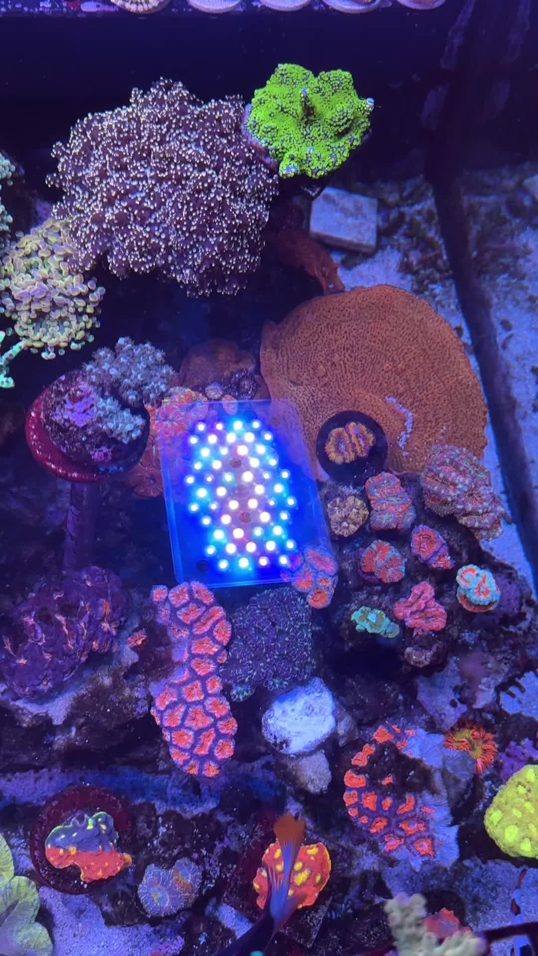 @SaltWaterShane