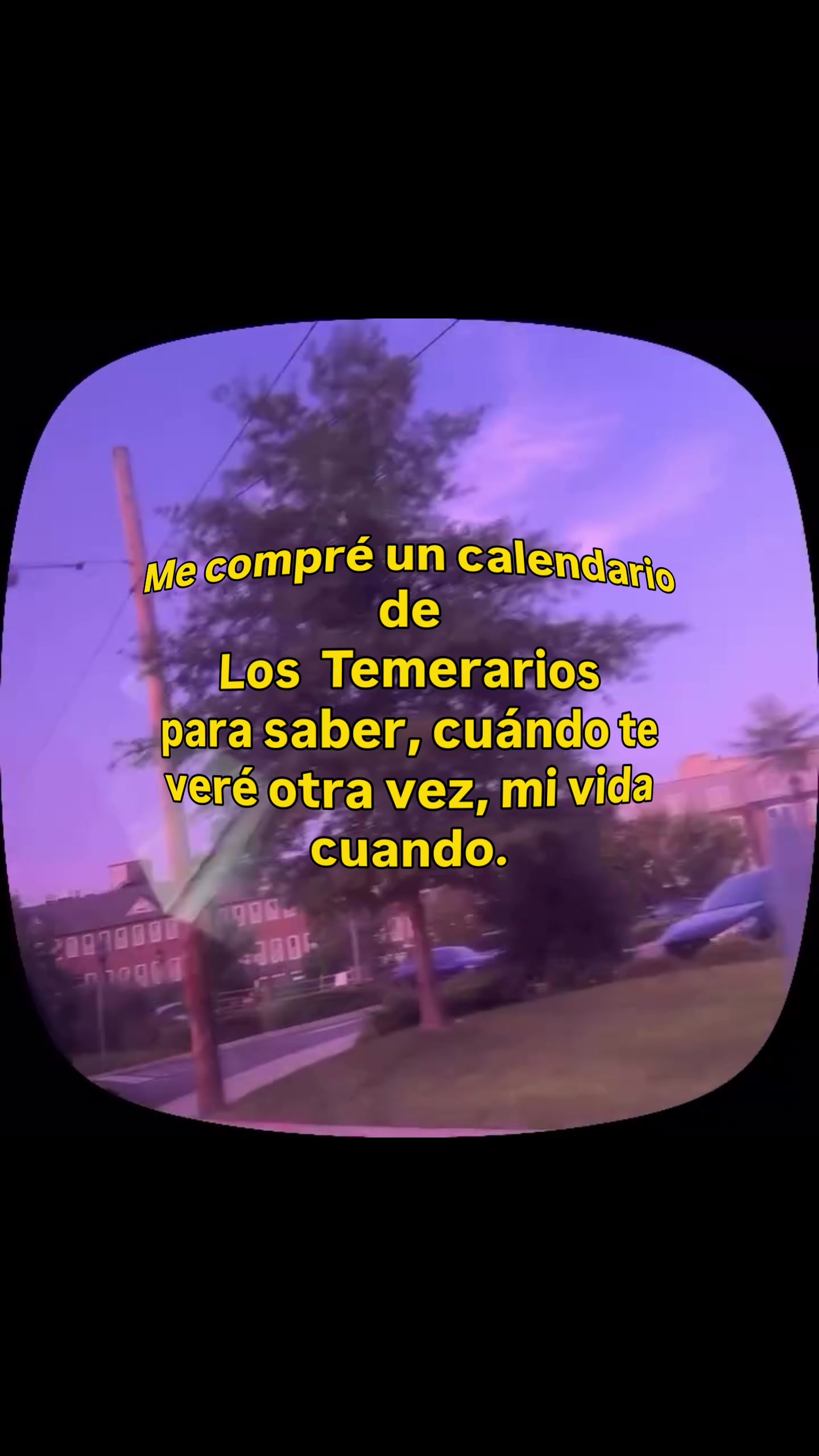 @🫀Lizette Mendoza❤️🦁