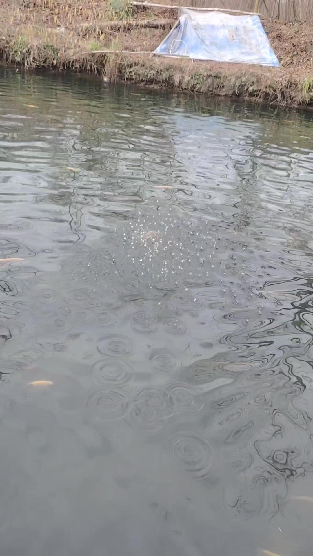 @Денис Чотари