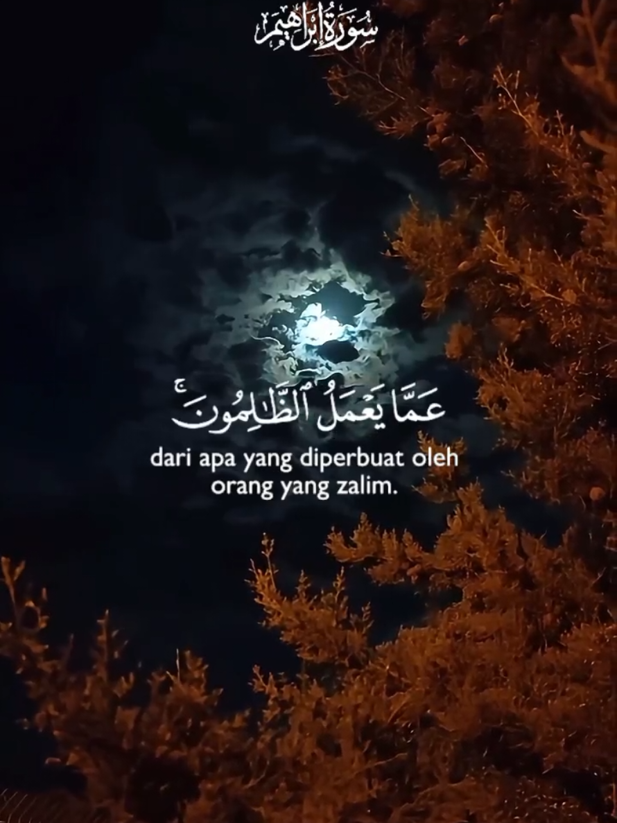 @Tulisan Cantik