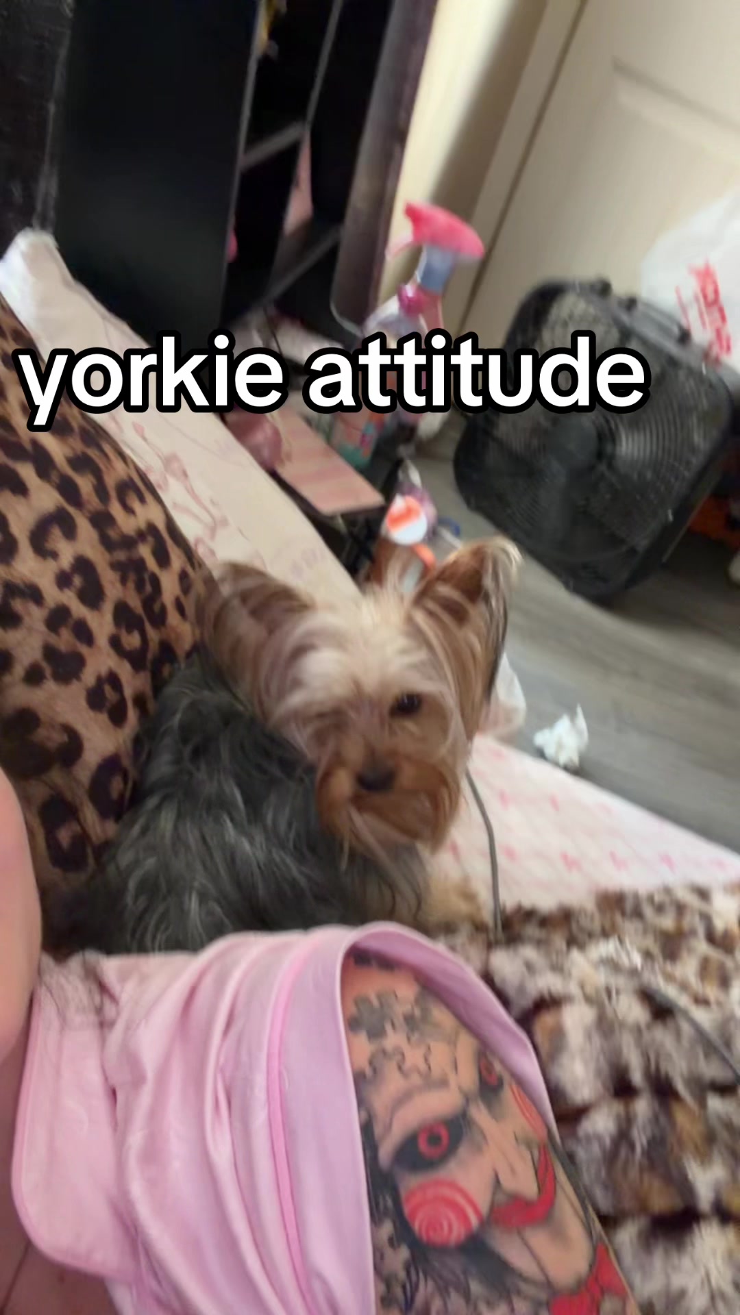 @Hannah Inzer | Dog Mom