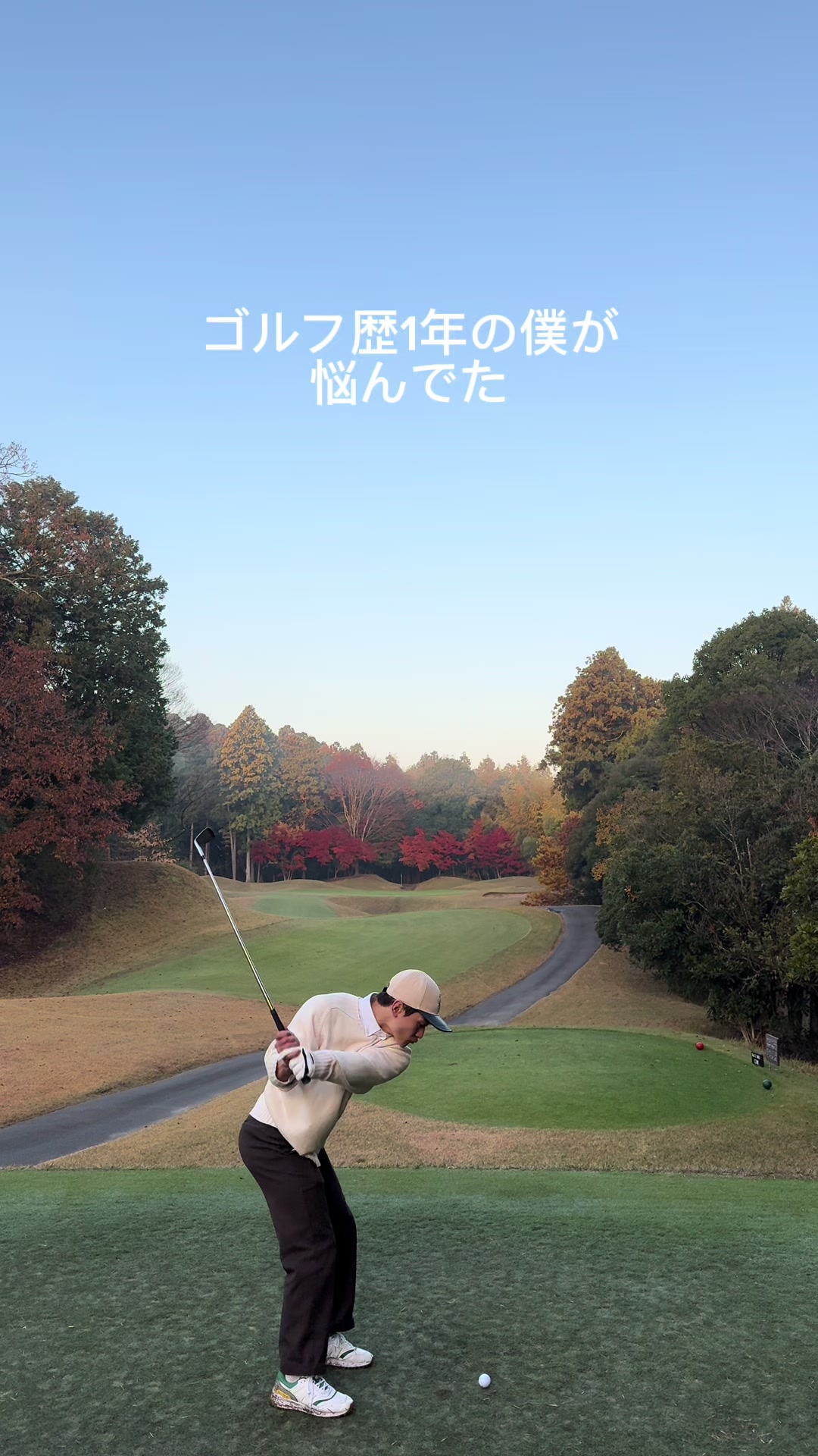 @かいせい