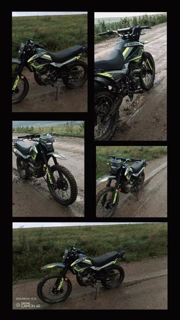 @panther 250