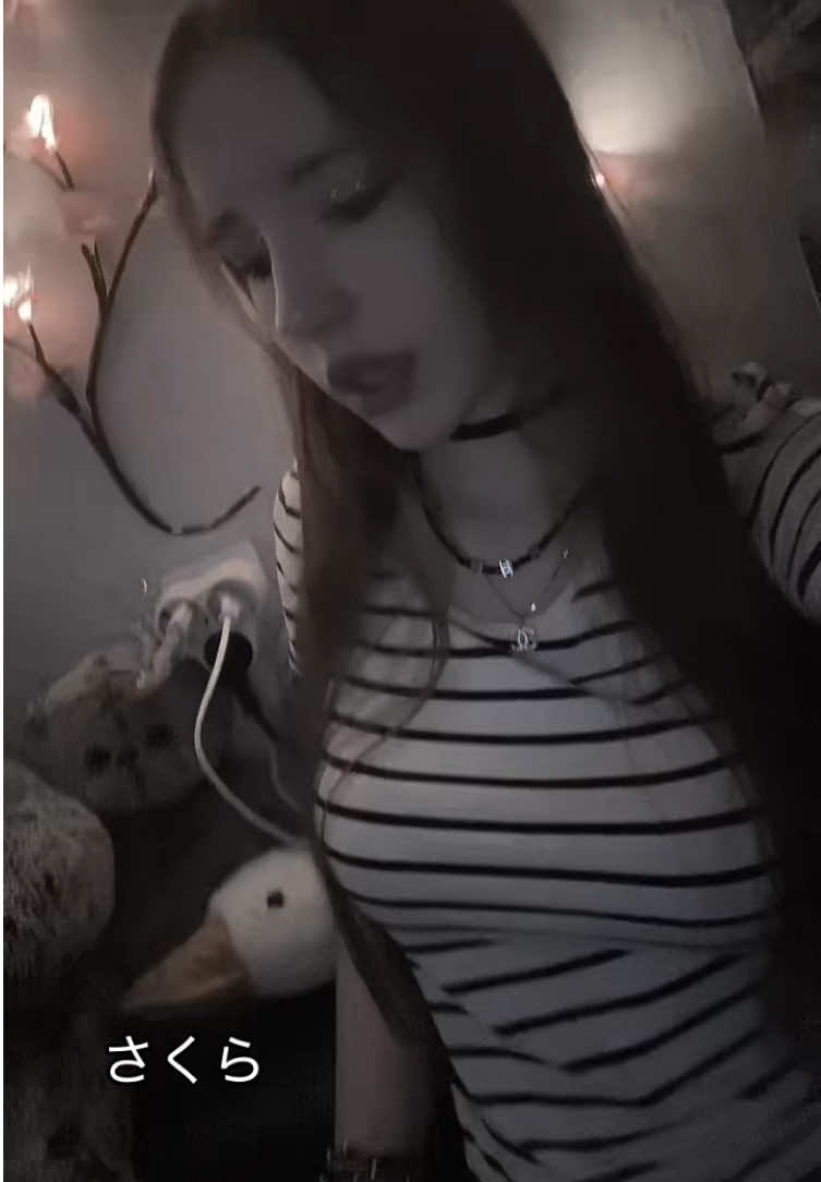 @m3ll 🐾