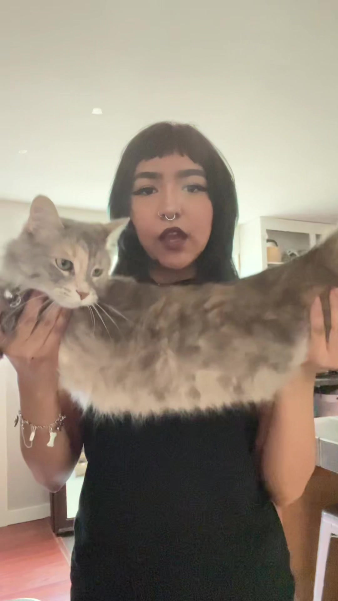 @gigi