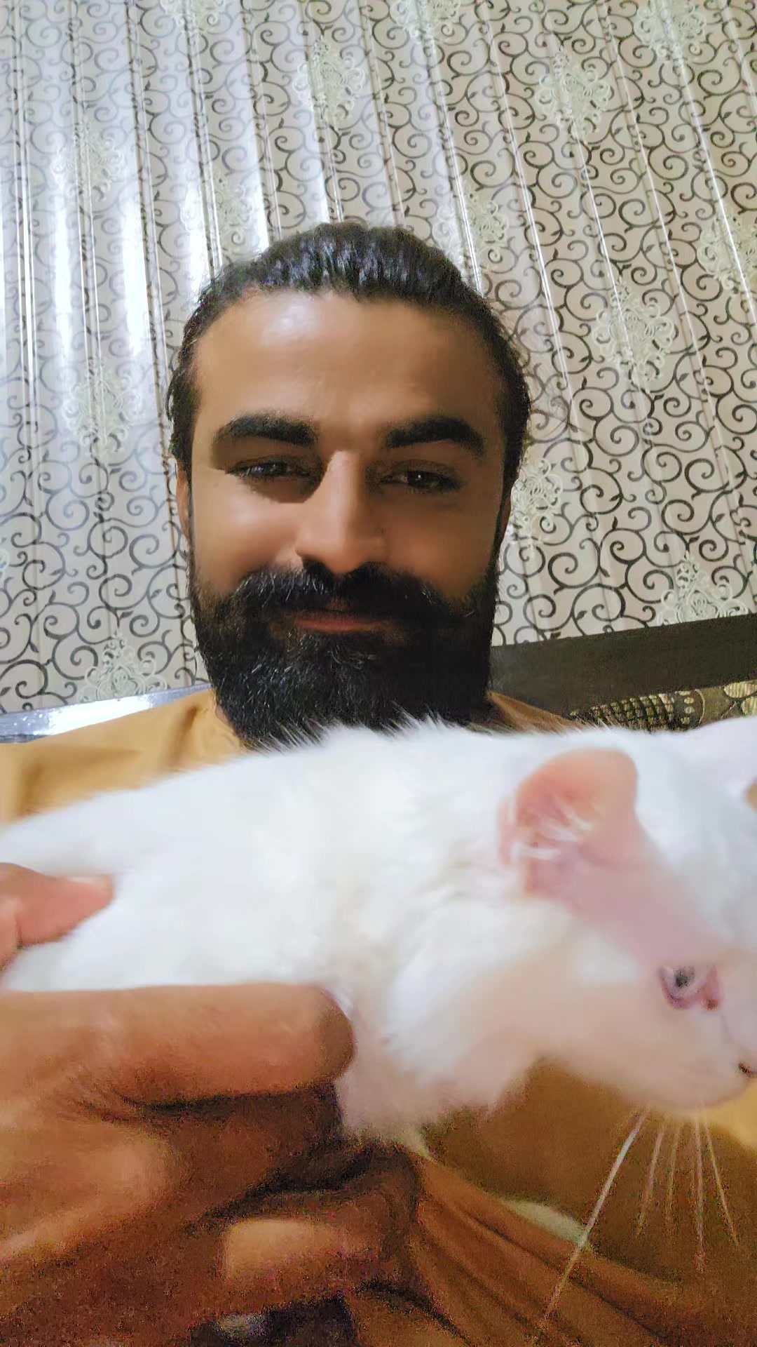 @dital.chandio5