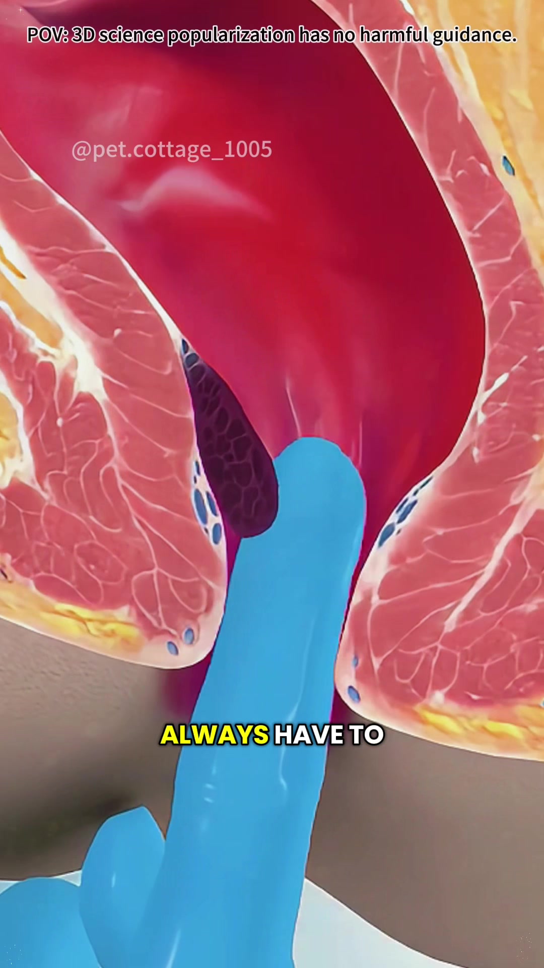 @Pet Cottage_1005