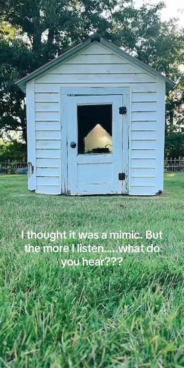 @🕯️✨Porchlight Paranormal✨🕯️