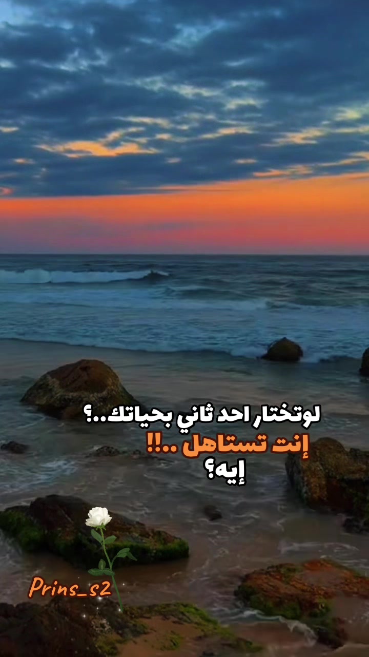@prins_s2