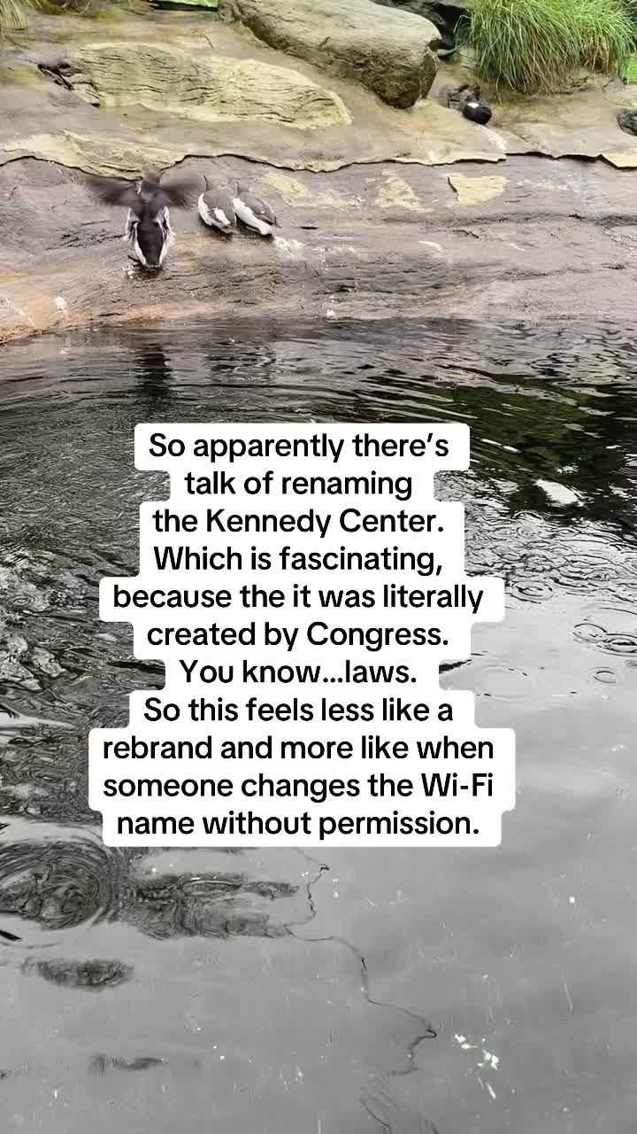 @Leftleaningqueen
